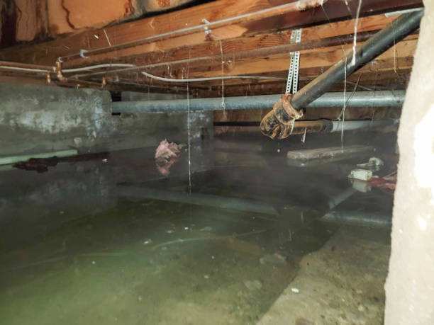 Best Water damage restoration near me  in Dacula, GA