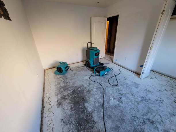 Best Carpet water damage restoration  in Dacula, GA