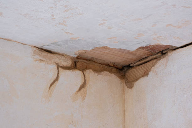 Best Ceiling water damage repair  in Dacula, GA