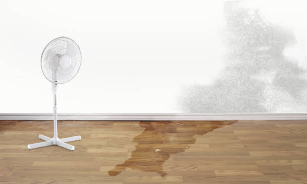 Best Water damage restoration process  in Dacula, GA