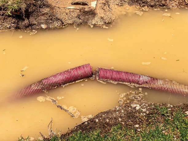 Best Water damage cleanup near me  in Dacula, GA