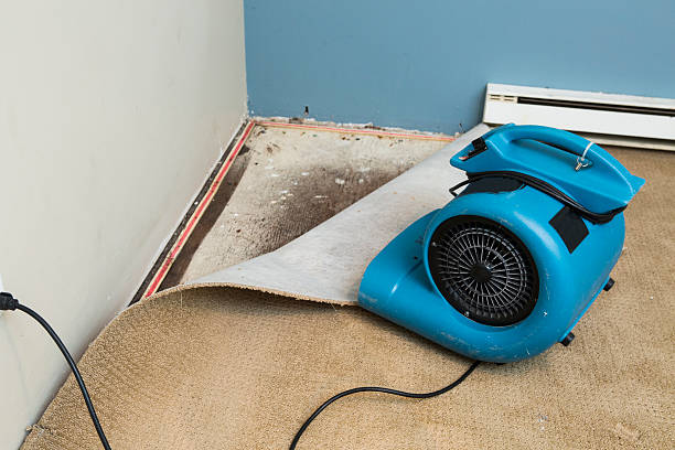 Best Local water damage restoration  in Dacula, GA